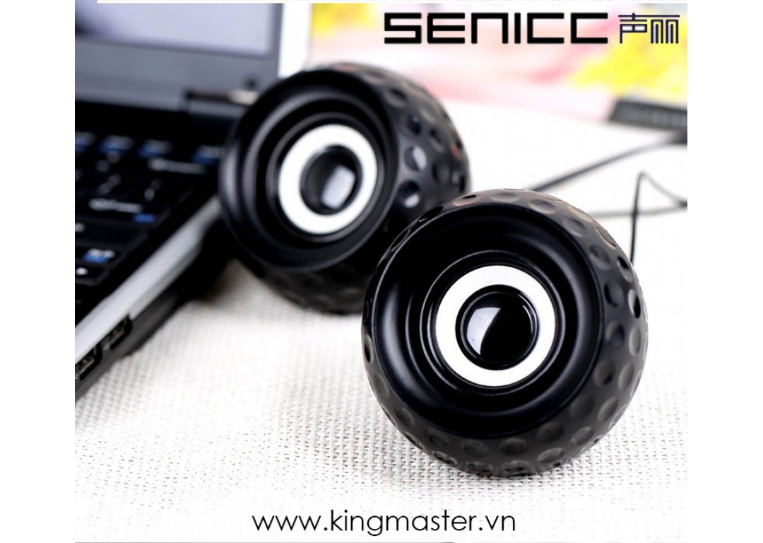 LOA SENICC SN 431 2 LOA BỘ